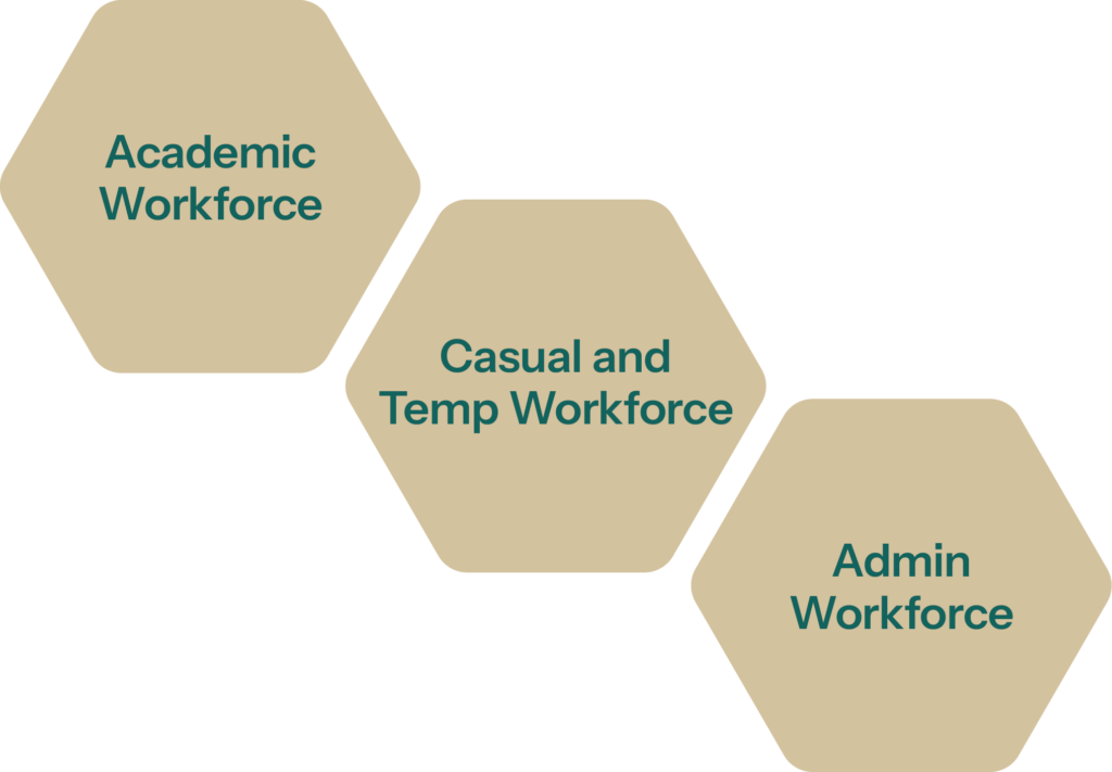 Workforce Planning in the Higher Education Sector